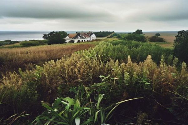Massive Invasive Species in England: A Growing Concern