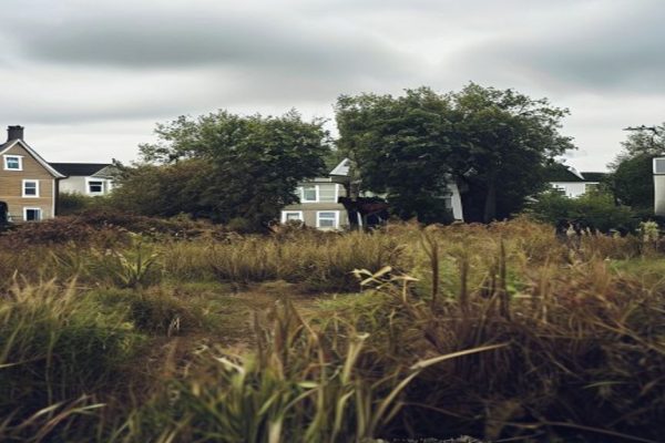 Massive Invasive Species Spotted in England, Raising Concerns and Curiosity Among Locals