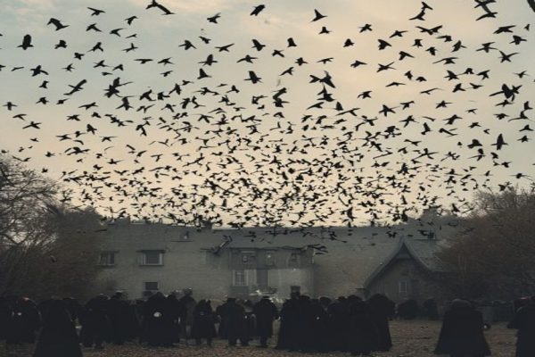 Massive Starlings Flock Spotted in England, Leaving Residents in Awe