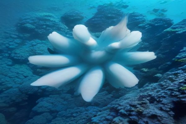 Tech Giants Ordered to Halt Nudification Apps: A Victory for Online Safety